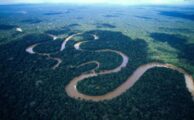 Keajaiban dan Mistis Sungai Amazon Serba Ajaib di Hutan Hujan Terbesar Dunia
